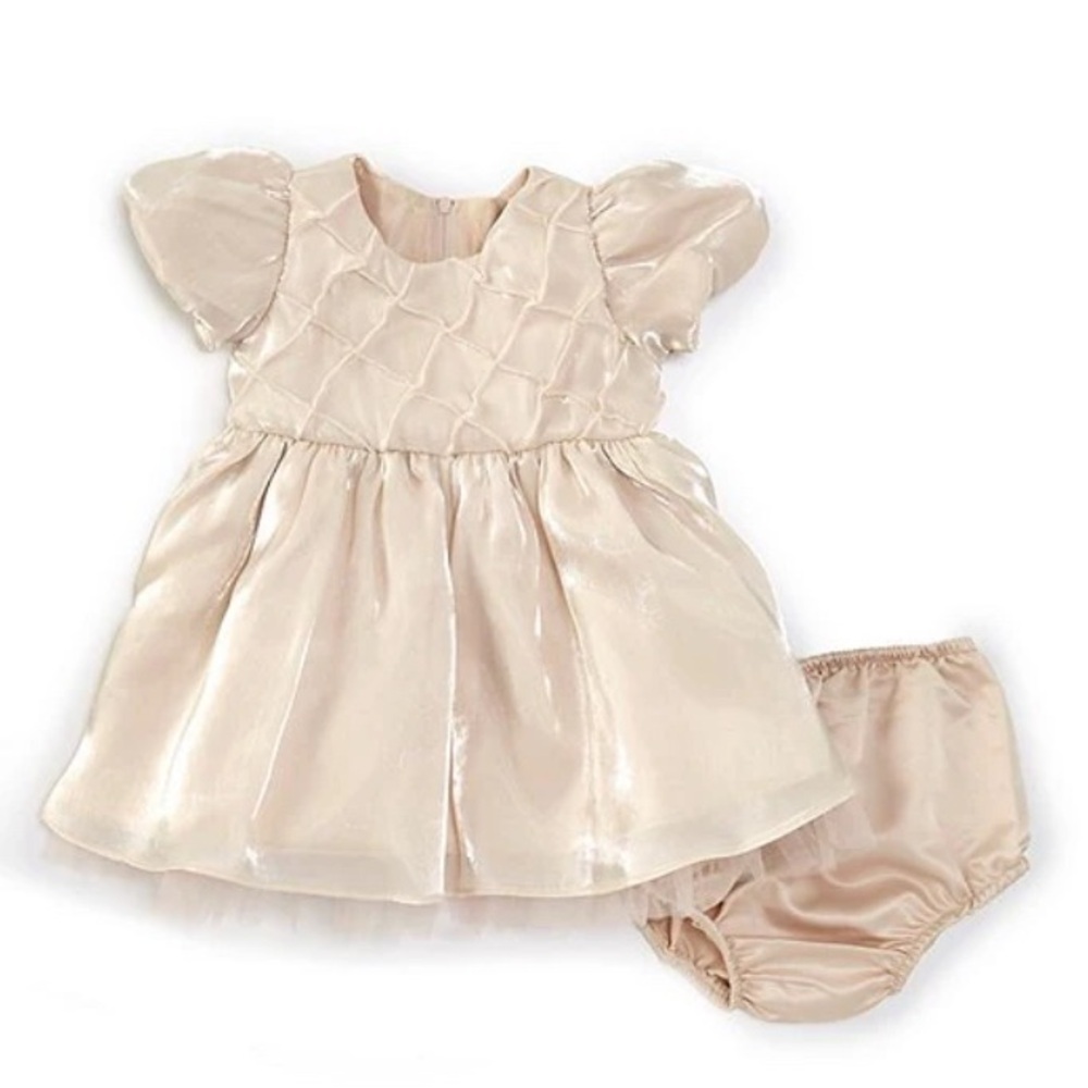 RARE EDITIONS Baby Dress Shimmer Organza Puff Sleeve 24 Months Pageant Easter - Picture 6 of 15